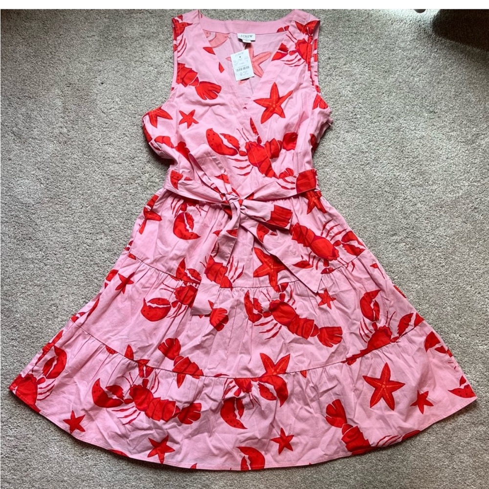 COPY - 🌸NWT🌸 Women’s J CREW Sleeveless Dress Size 2